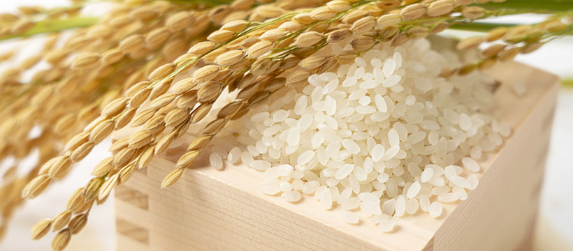 越後米粒タイプ新之助の特徴
