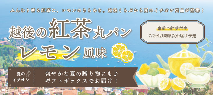 越後の紅茶丸パン レモン風味