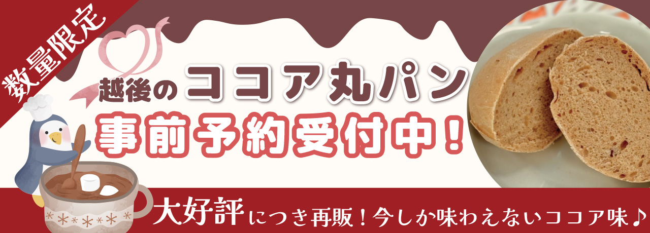 越後のココア丸パン